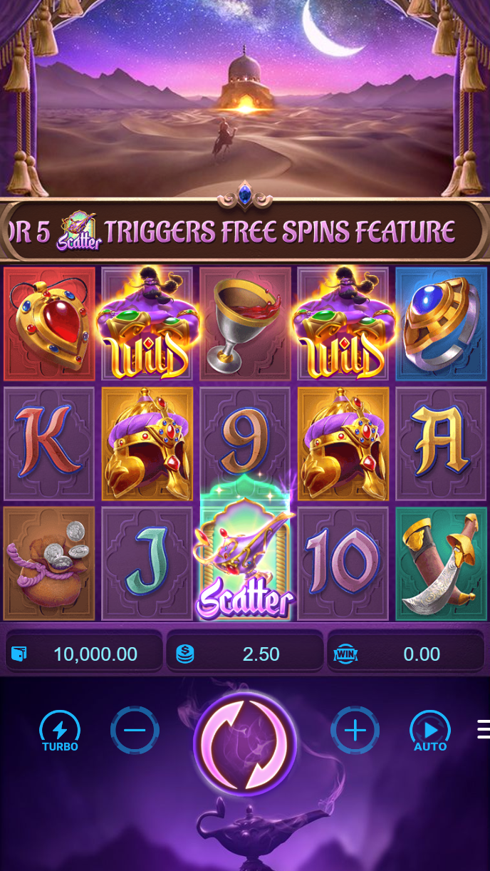 Live dealer streaming interface